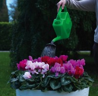 Stropitoare Dimartino Flow (7015V) imaginea #3 — magazin online Desire.md