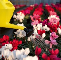 Stropitoare Dimartino Flow (7016G) imaginea #2 — magazin online Desire.md