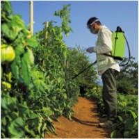 Опрыскиватель Dimartino Garden 12 (G3019/SBL) фото №5 — интернет-магазин Desire.md