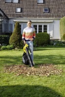 Aspirator-suflător de frunze Karcher BLV 18-200 + Kit (1.444-100.01) imaginea #5 — magazin online Desire.md