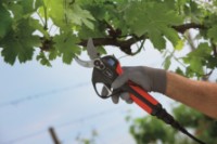 Секатор аккумуляторный Blue Bird PS 22-40 фото №2 — интернет-магазин Desire.md