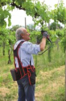 Секатор аккумуляторный Blue Bird PS 22-40 фото №3 — интернет-магазин Desire.md