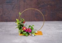 Material pentru artizanat Daco AD431AU imaginea #2 — magazin online Desire.md