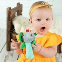 Погремушка Akuku A0350 фото №2 — интернет-магазин Desire.md