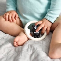 Погремушка Akuku A0467 фото №3 — интернет-магазин Desire.md