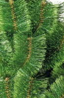 Декоративная ёлка Siga Group 47667 1.8m фото №2 — интернет-магазин Desire.md