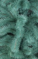 Декоративная ёлка Siga Group 47679 2.3m фото №2 — интернет-магазин Desire.md