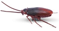 Робот Zuru Roboalive Cockroach (7152) фото №4 — интернет-магазин Desire.md