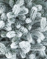 Brad artificial Siga Group 47712 1.8m imaginea #2 — magazin online Desire.md