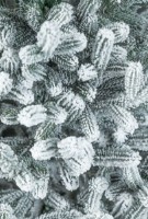 Декоративная ёлка Siga Group 47715 2.5m фото №2 — интернет-магазин Desire.md