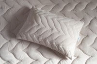 Подушка Othello Colora 50x70cm (31579) фото №4 — интернет-магазин Desire.md