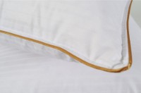 Подушка Othello Downa 50x70cm (31577) фото №3 — интернет-магазин Desire.md