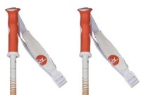 Bețe de schi Rossignol Electra Premium Beige 115cm imaginea #4 — magazin online Desire.md