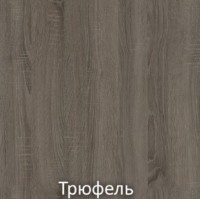 Comodă Bafimob TTB-100 2S Trufel imaginea #2 — magazin online Desire.md