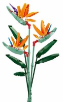 Конструктор Sluban Girls Dream - Strelitzia Reginae Aiton (B1121C) фото №1 — интернет-магазин Desire.md