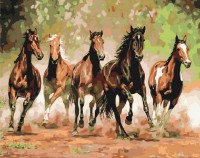 Картина по номерам Brushme Табун лошадей (BS8288)