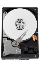 HDD Western Digital AV-GP 320Gb (WD3200AVVS) imaginea #2 — magazin online Desire.md