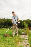 Motocoasă electrică AL-KO BC 1000 E imaginea #3 — magazin online Desire.md