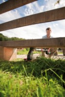 Motocoasă electrică AL-KO GTE 450 Comfort imaginea #3 — magazin online Desire.md