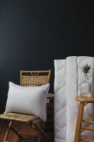 Подушка Issimo Techno Series Coral Soft 50x70 фото №2 — интернет-магазин Desire.md