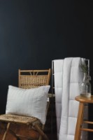 Одеяло Issimo Nature Series Bamboo 155x215 фото №2 — интернет-магазин Desire.md