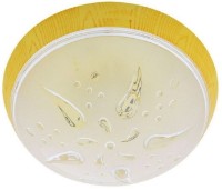 Потолочный светильник Horoz Ufo Rose (400.221.101)