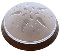 Потолочный светильник Horoz Ufo Rose (400.231.101)