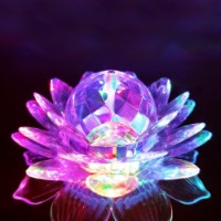 Suvenir GreenWood Flower 9341 imaginea #3 — magazin online Desire.md