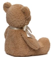 Мягкая игрушка Gund My First Teddy (6048630) фото №2 — интернет-магазин Desire.md