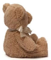 Мягкая игрушка Gund My First Teddy (6055512) фото №2 — интернет-магазин Desire.md
