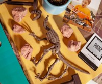 Set de cercetare pentru copii 4M Dig A Dinosaur Skeleton Velociraptor (00-13234)