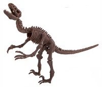 Детский набор для исcледований 4M Dig A Dinosaur Skeleton Velociraptor (00-13234)