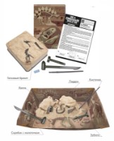 Детский набор для исcледований 4M Мир динозавров Раскопай скелет Брахиозавр (00-03237)