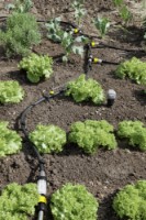 Редуктор давления и сажевый фильтр Karcher 2.645-226.0 фото №3 — интернет-магазин Desire.md