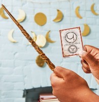 Set jucării Spin Master Волшебная палочка Гермионы Грейнджер (6062057) imaginea #3 — magazin online Desire.md