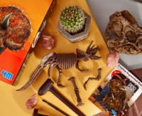 Set de cercetare pentru copii 4M Dig a Triceratops (00-03228) imaginea #3 — magazin online Desire.md