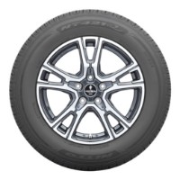 Anvelopa Nitto NT421A 235/55 R19 105W XL imaginea #3 — magazin online Desire.md