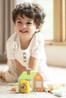 Сортер Classic World House (20143) фото №3 — интернет-магазин Desire.md