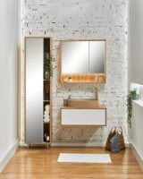 Шкаф с зеркалом Sanmaximus 102 800 Taho LED фото №3 — интернет-магазин Desire.md