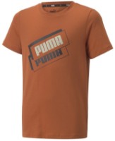 Tricou pentru copii Puma Alpha Holiday Tee B Warm Chestnut 152