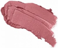 Помада для губ Artdeco Perfect Color Lipstick 817 фото №2 — интернет-магазин Desire.md