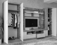 Гостиная ML-Mobila МЛ-2 Премьера 15 без рисунка 3100 Дуб Крафт Серый/Дуб Крафт Белый фото №2 — интернет-магазин Desire.md