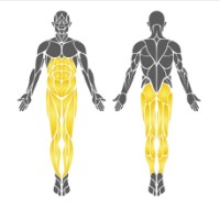 Aparat fitness exterior PlayPark B-02 imaginea #2 — magazin online Desire.md