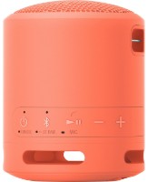 Портативная акустика Sony SRS-XB13P фото №2 — интернет-магазин Desire.md