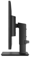 Monitor LG 24BN550Y-B imaginea #4 — magazin online Desire.md