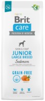 Hrană uscată pentru câini Brit Care Dog Grain Free Junior Large Breed Salmon 12kg