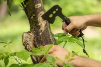 Topor Neo Tools 63-118 imaginea #5 — magazin online Desire.md