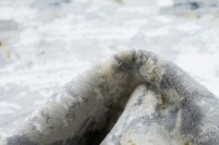 Ковёр Made in Turkey Stella VSA Cream (B839A) 2.00x2.90m фото №3 — интернет-магазин Desire.md