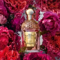 Parfum pentru ea Guerlain Aqua Allegoria Rosa Rossa EDP 75ml imaginea #2 — magazin online Desire.md