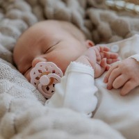 Suzeta BIBS Boheme 0+ months Blossom imaginea #2 — magazin online Desire.md